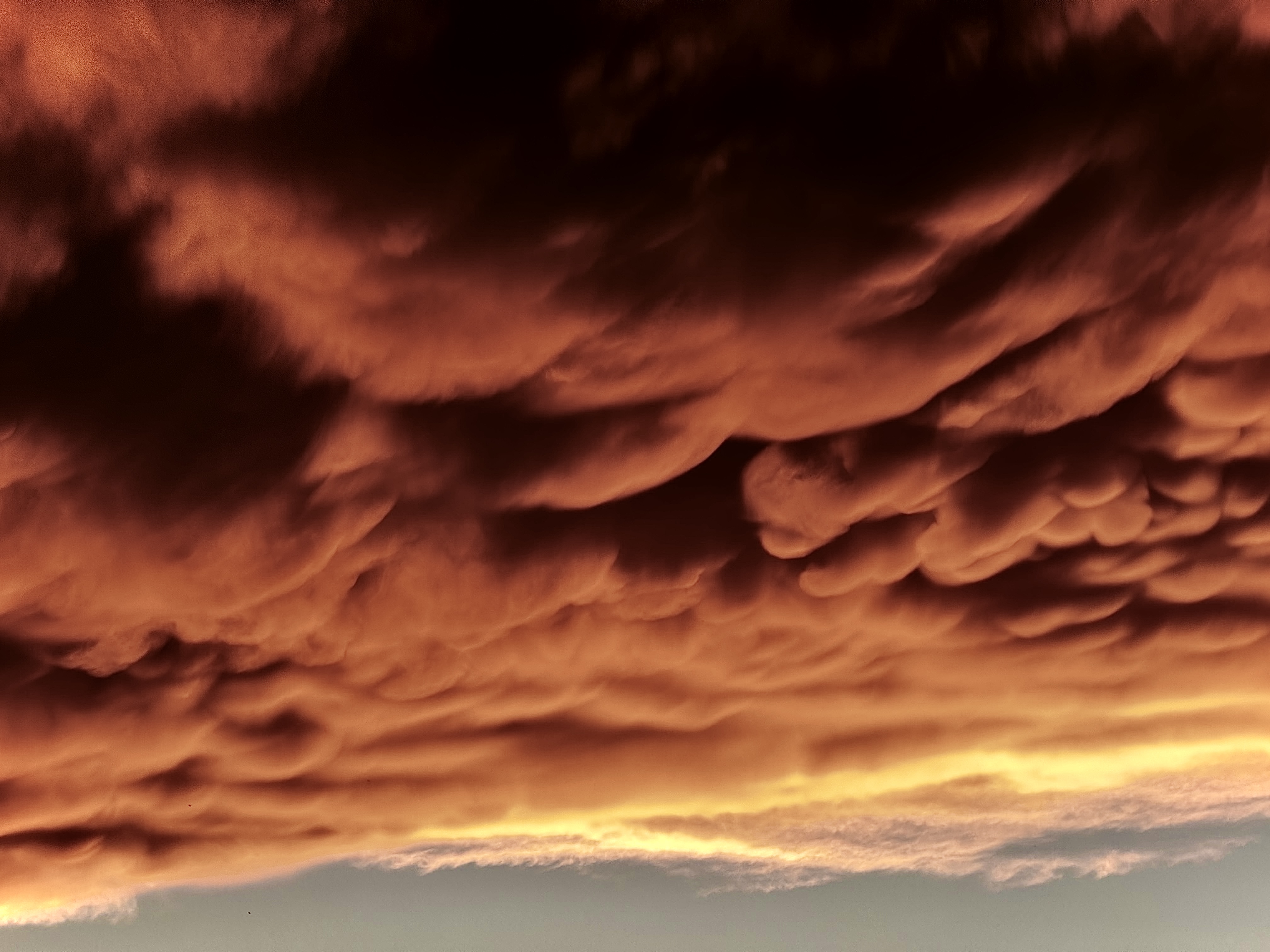 Mammatus Clouds at Sunset