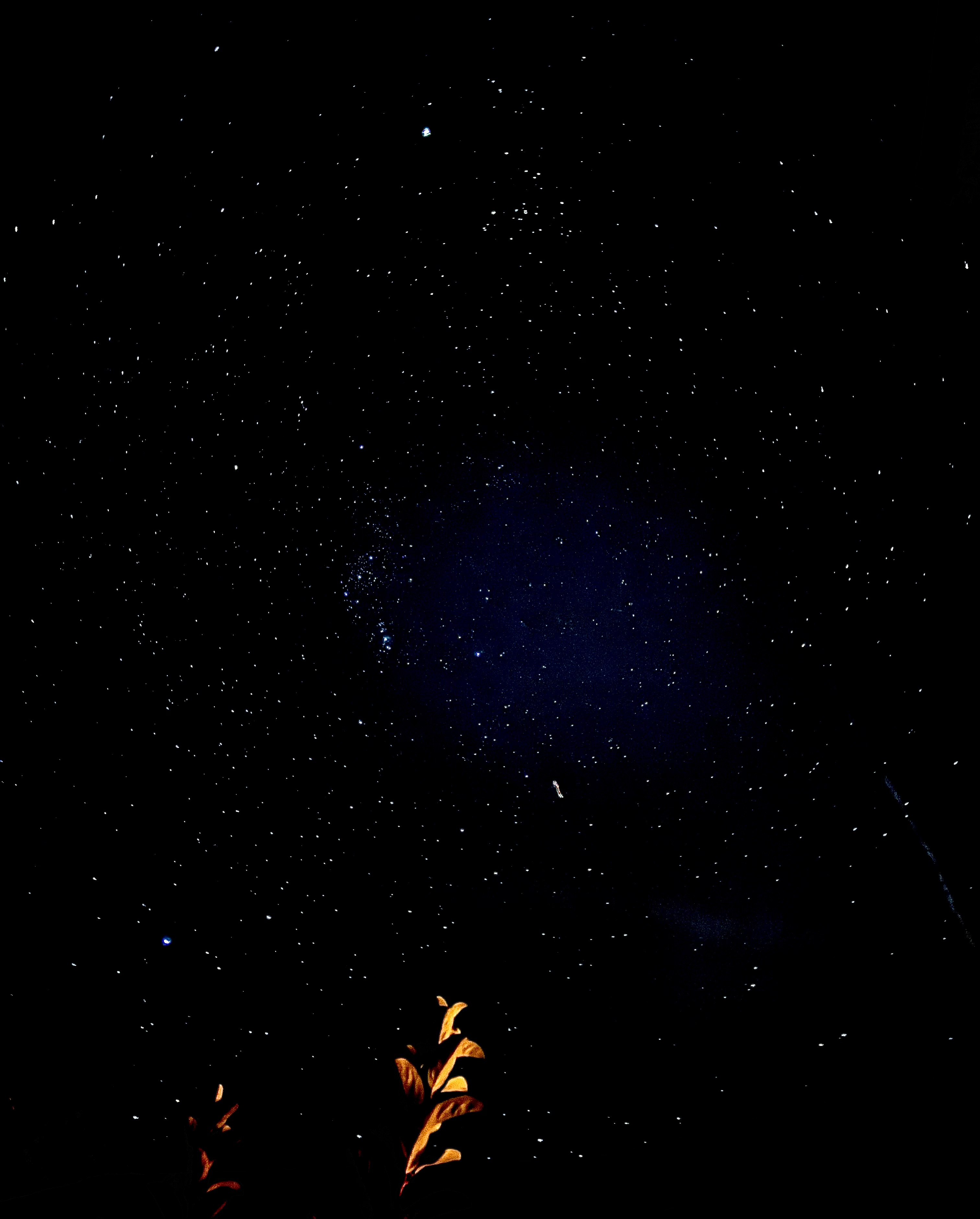 Star Cluster with Foreground