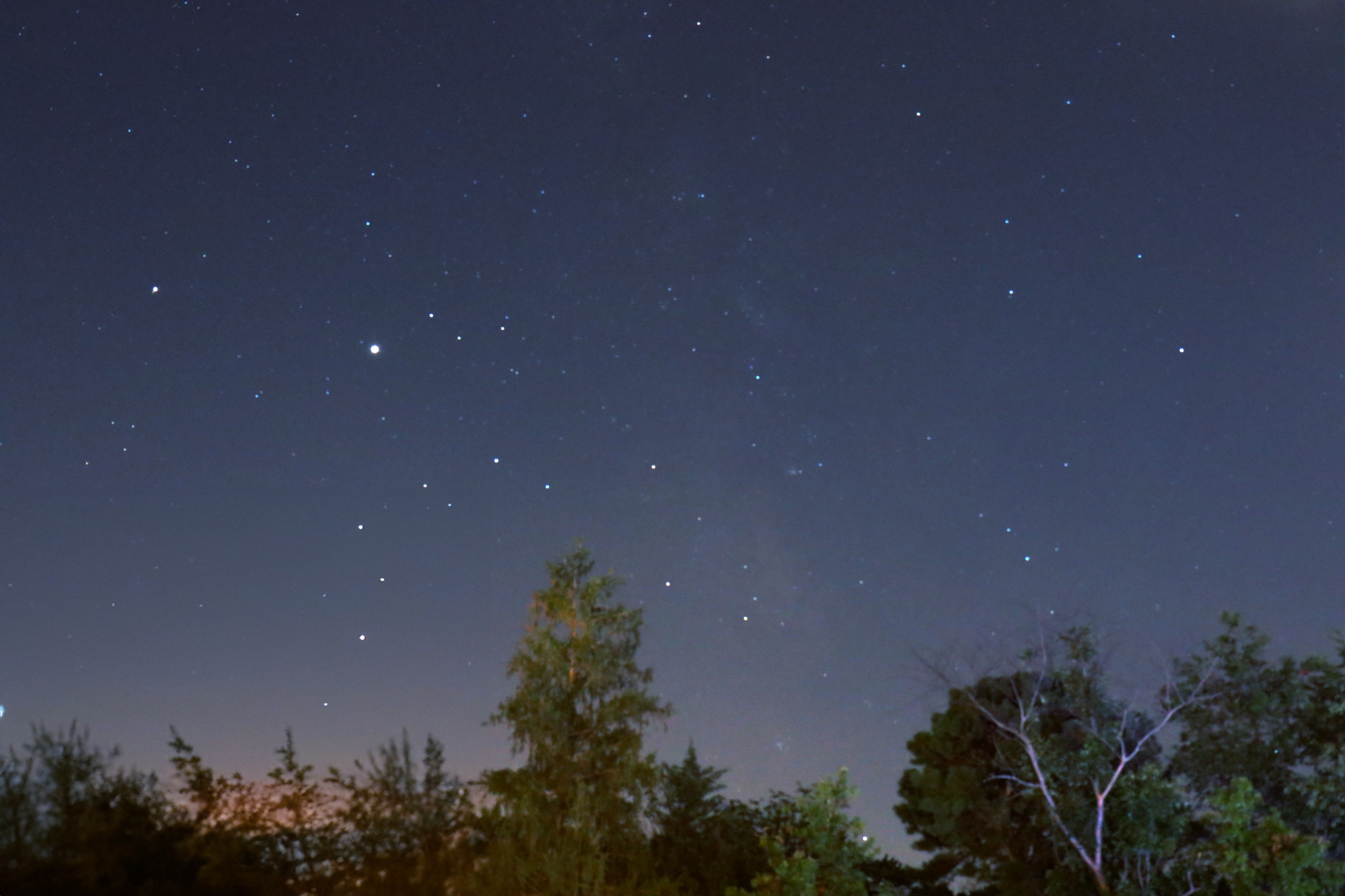 Constellation over Trees